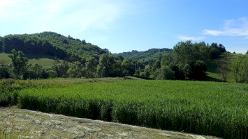 17. Répás-völgyi tanösvény