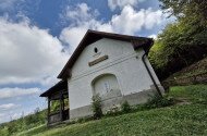 Májusi madárgyűrűzés a Szitakötő háznál