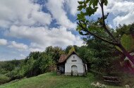 Nyárzáró madárgyűrűzés a Szitakötő háznál