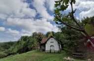 Szeptemberi madárgyűrűzés a Szitakötő-háznál