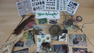 Állati nyomozás - Erdei életközösségek megismerése állati nyomokon keresztül