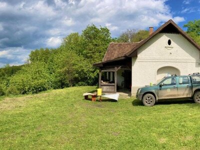 240427_Foto_Budai Roxana