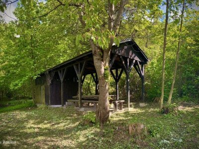 Budai Roxana_240427_5