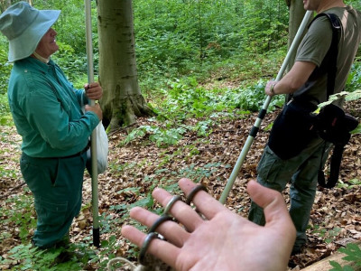 Budai Roxána_240520_1080