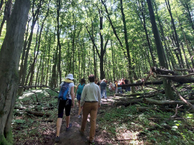 20240615_143223_1920