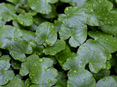 448273574_880542517449722_8618192502038359854_n_1920