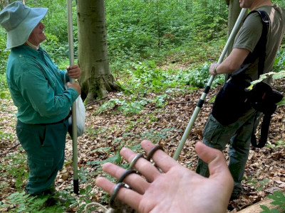 Budai Roxána_240520_1080