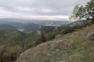 Őserdő túra