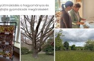 Intézetek közötti együttműködés a hagyományos és tájfajta gyümölcsök megőrzéséért