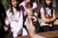 „A Tanár Úr újra nálunk” – Madárgyűrűzés a Szitakötő-kutatóháznál a Miskolci Herman Ottó Gimnázium közreműködésével