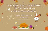 Márton-napi libaságok és csillagles a Bükki Csillagdában