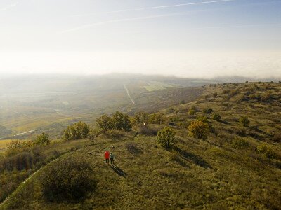 DJI_0001