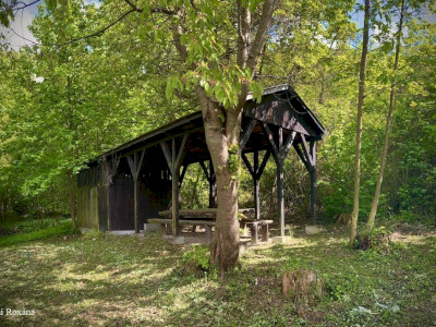 Budai Roxana_240427_5