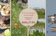 „Természetes üzenetek” Időszaki kiállítás plakáttervező pályázatunk alkotásaiból