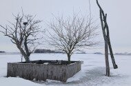 Víz a legelőn – mi köze van a kutaknak az ürgékhez?